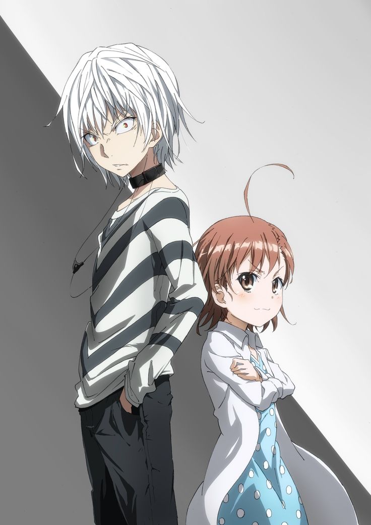 Accelerator and Last Order