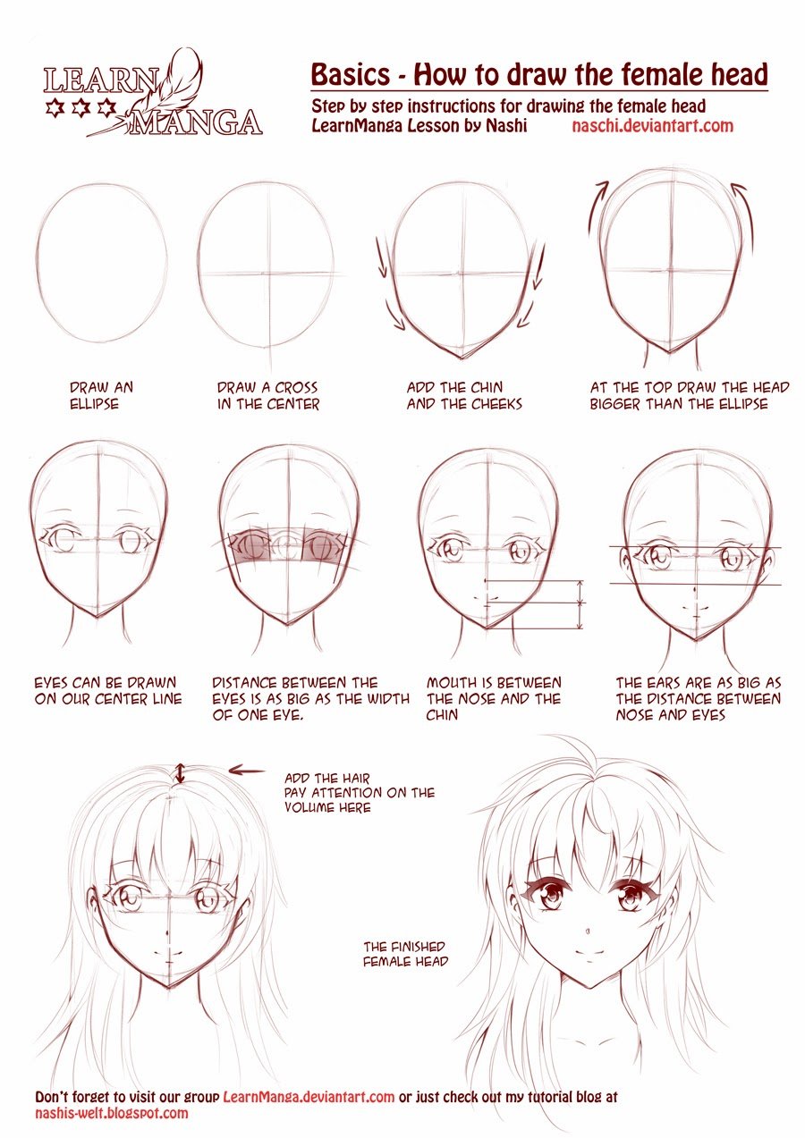Anime anatomy basic drawing tutorial