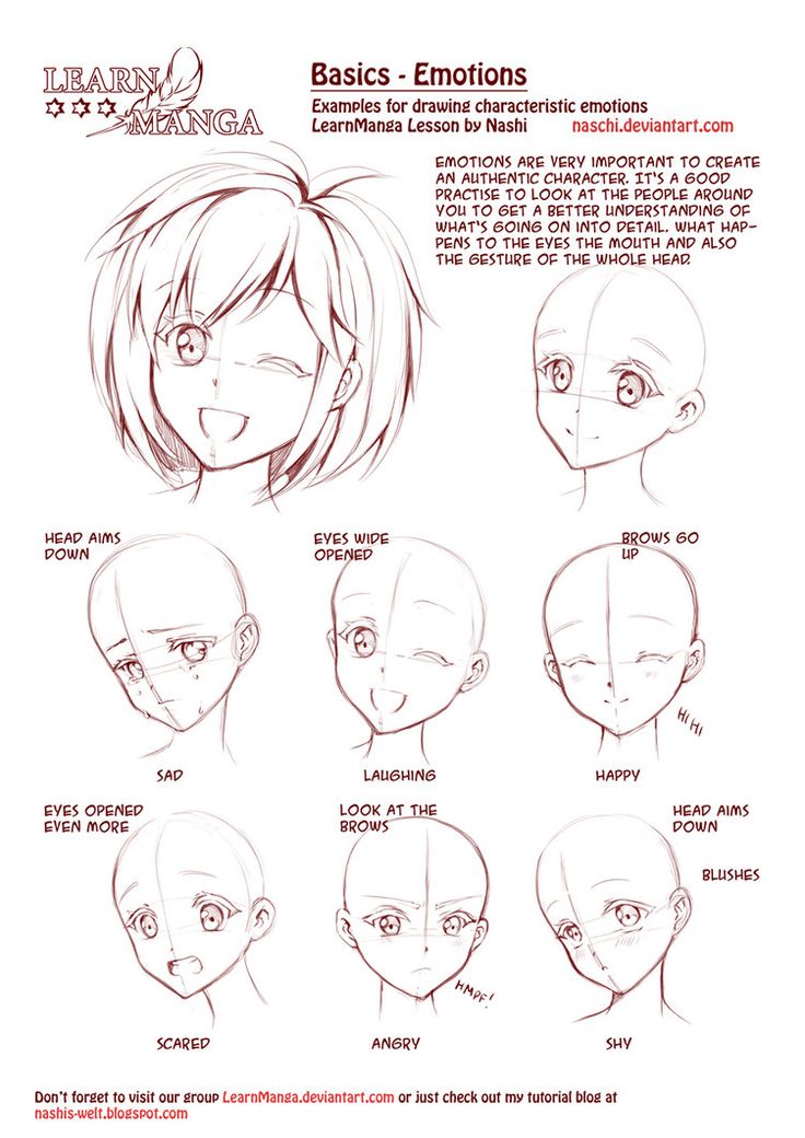 Anime Basic Drawing at GetDrawings