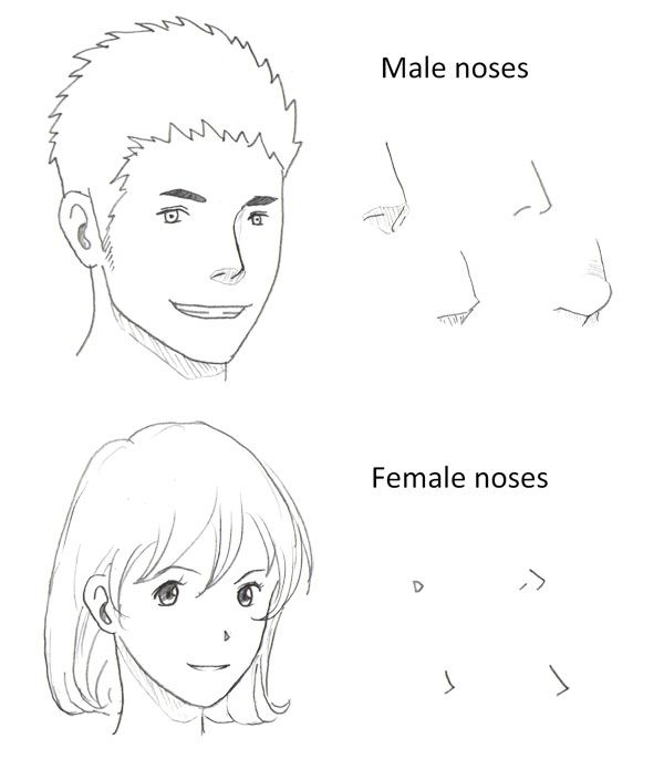 Drawing The Nose Archives