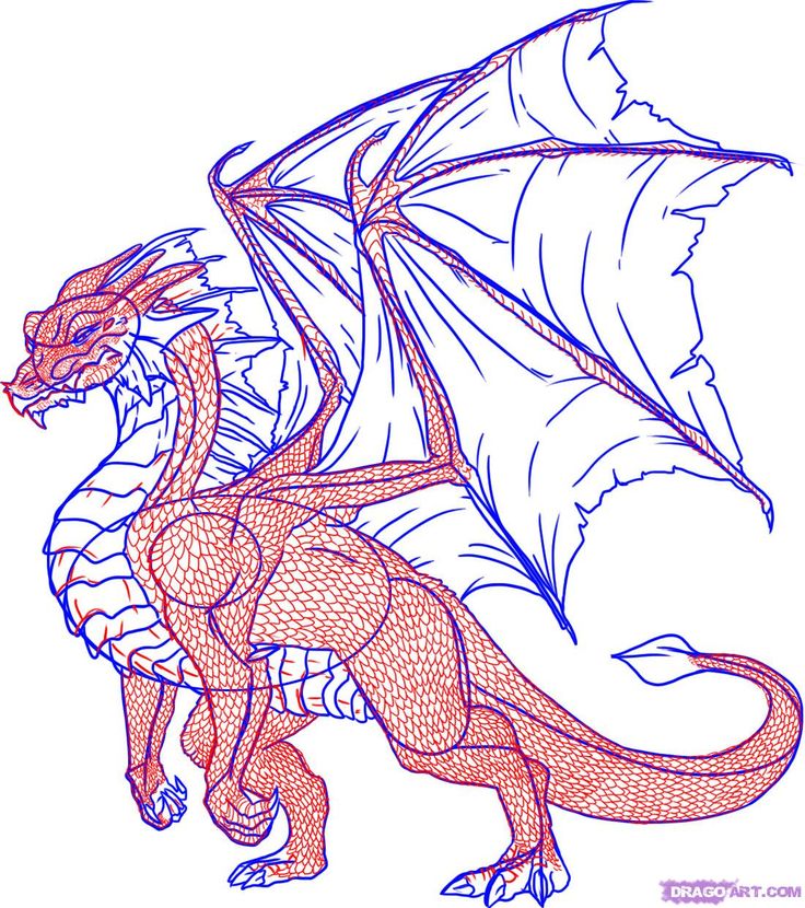 How to Draw a Dragon: Step 8  pinned from http://www ...