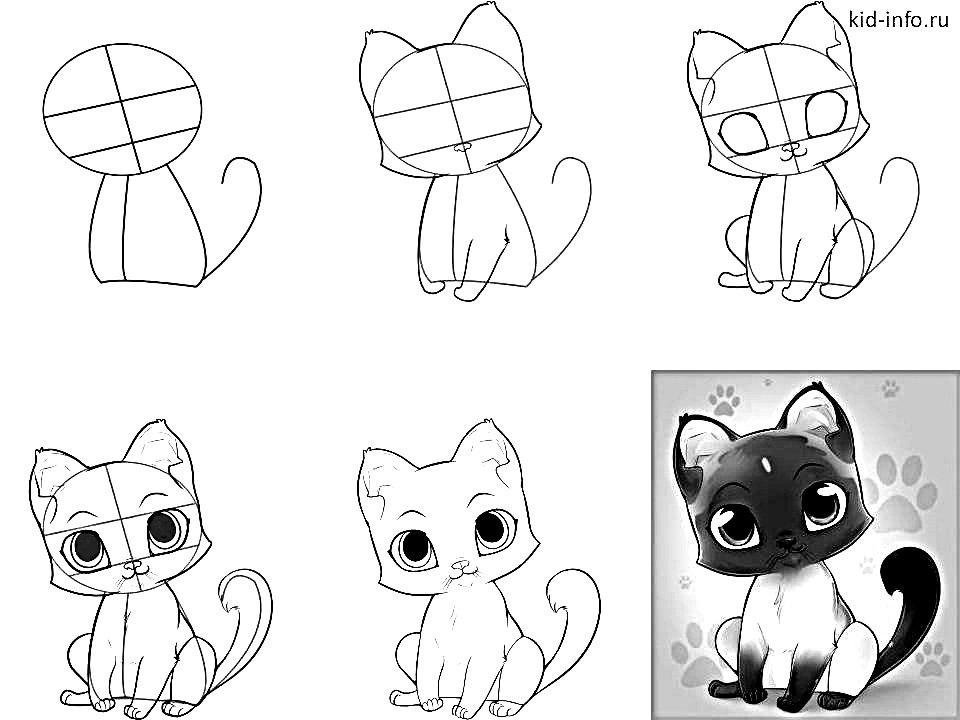 How to draw anime cat