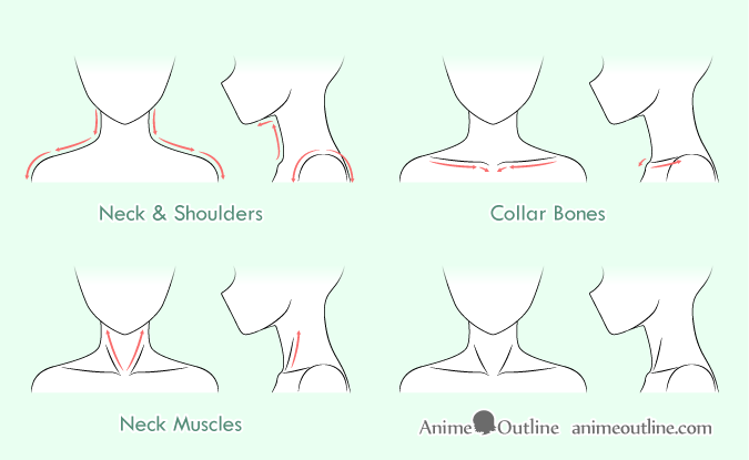 How to Draw Anime Neck &  Shoulders