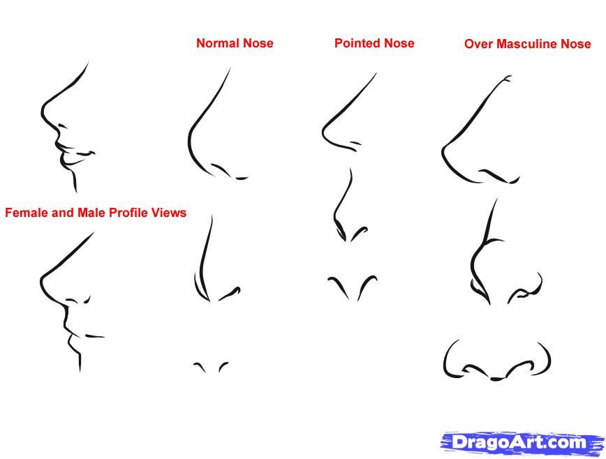 How to Draw Anime noses and mouths