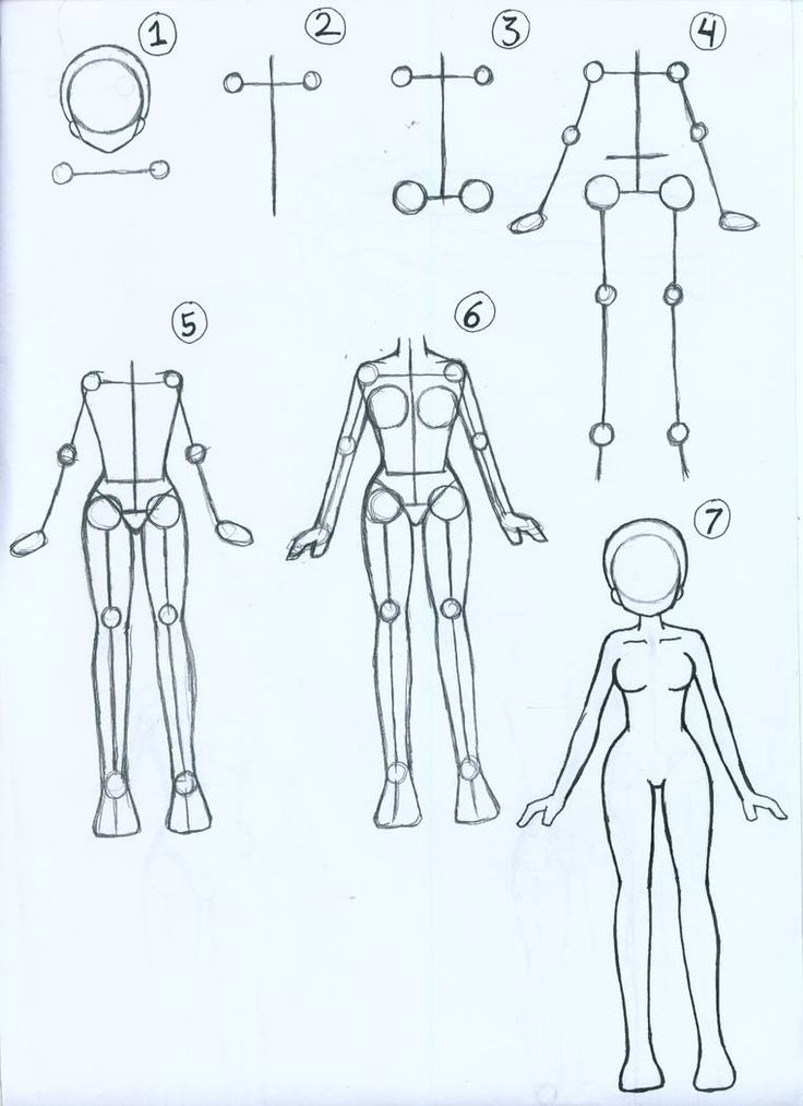 How to draw Female Anime Body by ariSemutz on DeviantArt ...