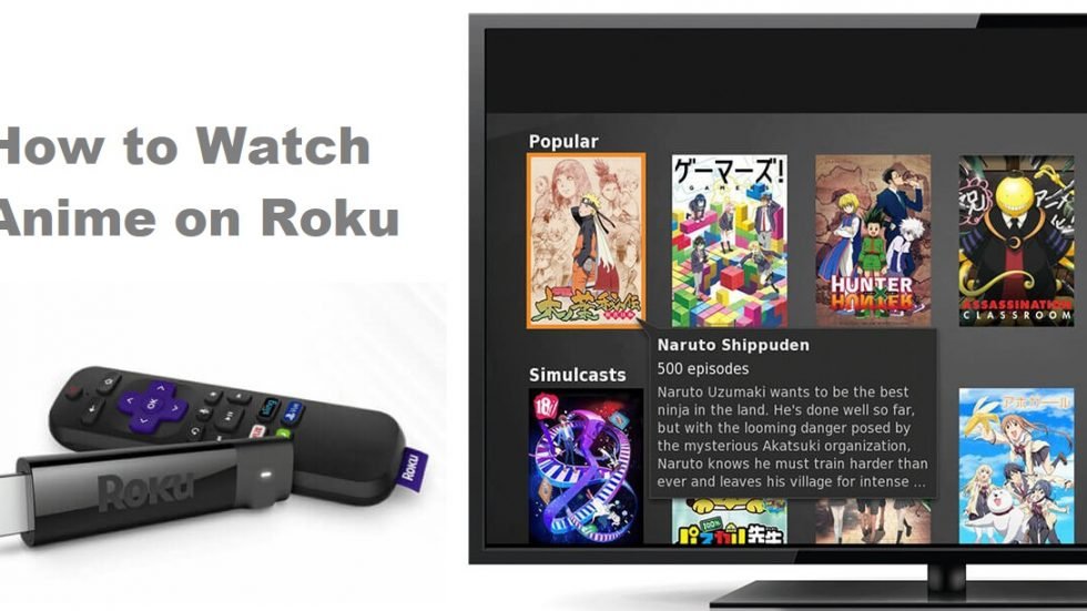 How to Watch Anime on Roku