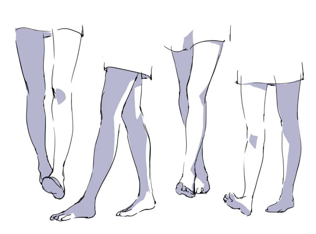 Legs reference (
