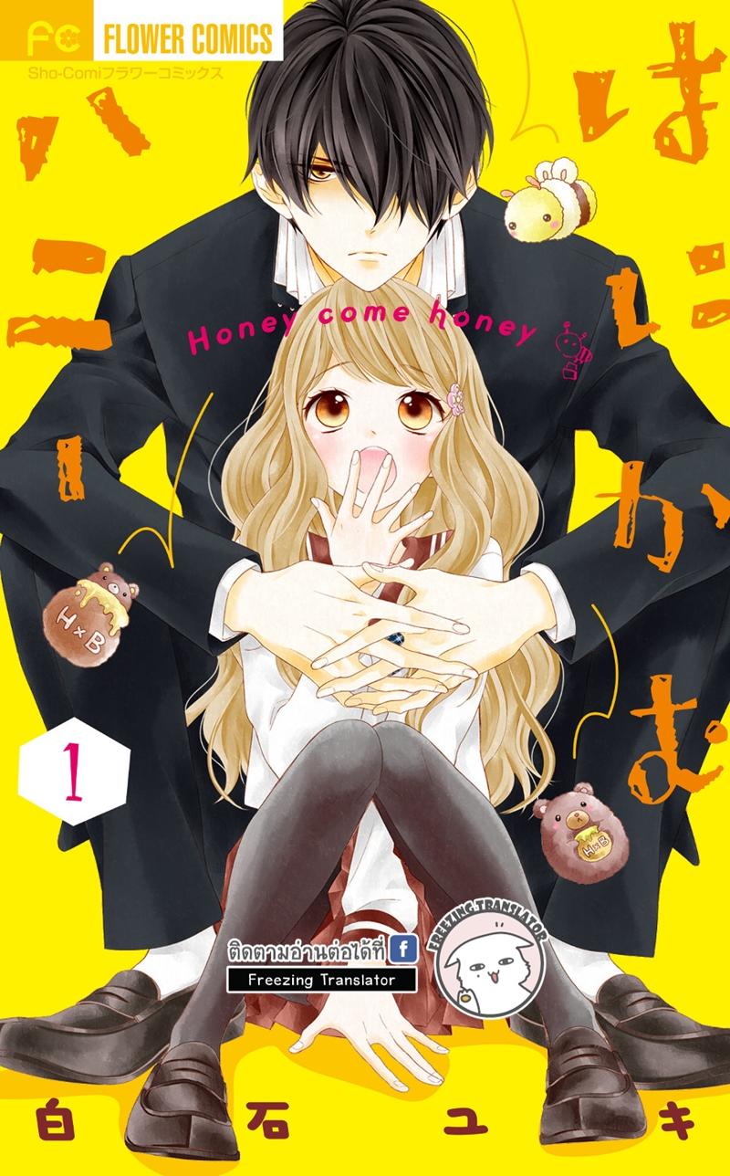 New Manga Impression: Honey Come Honey