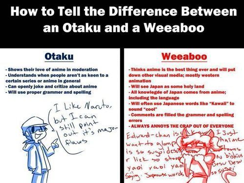 True meaning of otaku